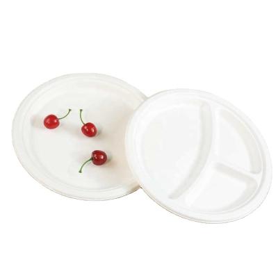 China Inch 3 Inch Natural Disposable Biodegradable Paper 9 Compartment Bagasse Tableware Compostable Dried Fruit Dish for sale