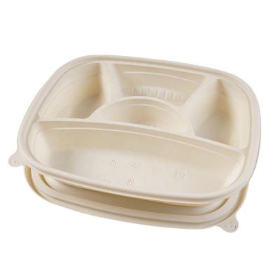 China Modernism High Cost Performance Environmentally Friendly Paper Box Pla Pla Pla Coated Disposable Lunch Box Biodegradable for sale