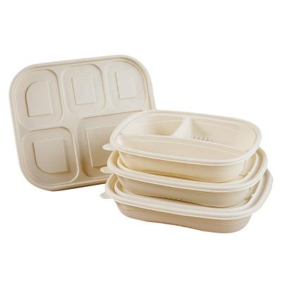 China Factory Direct Selling Biodegradable Waterproof Pla Coated Paper Box Pla Lunch Box Biodegradable Cornstarch Pla Takeout Lunch Box for sale