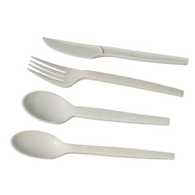 China Modernism Thick and Stable Non-deformable Ice Cream Spoon Disposable Spoon Soup Spoon Eco-Friendly Cutlery for sale