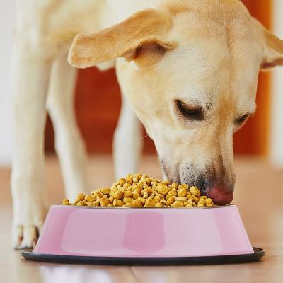 China Sustainable Pet Stainless Steel Feeding Bowls For Dogs Non-Slip Pet Bowl for sale