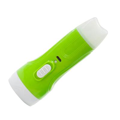 China Emergency Emergency Lighting Indoor Outdoor Electric Rechargeable Led Torch Lighting Flashlight for sale