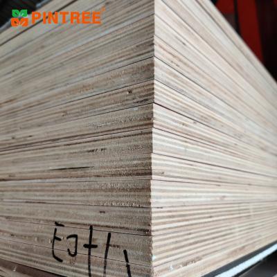 China Raincoat ; Competitive Price Pintree Sales 18mm Cheap High Quality Birch Plywood Sheet For Decoration Furniture for sale