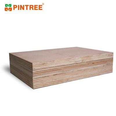 China Raincoat ; Competitive Price Pintree Pine Plywood Commercial Plywood 9mm 12mm 15mm 18mm For Construction for sale