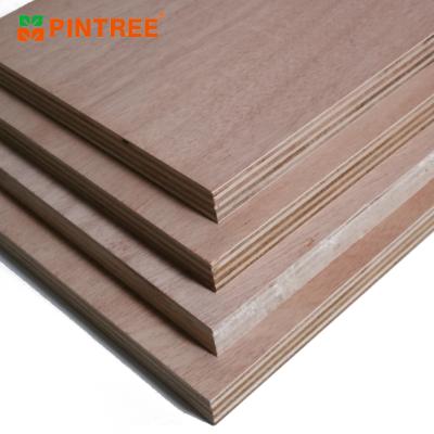 China Raincoat ; Cheap Competitive Price Pintree 5-25mm Eucalyptus Core Plywood Birch Faced Plywood For Furniture for sale