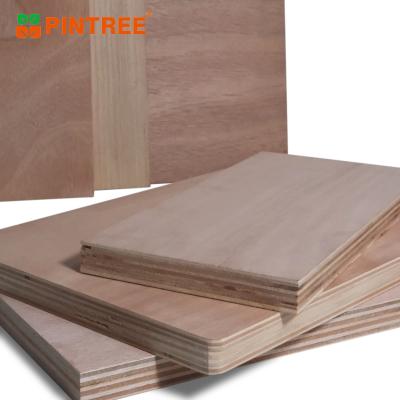 China Raincoat ; Cheap competitive price 5mm 6mm E0 glue full poplar core Bintangor plywood okoume plywood with FSC CARB for sale