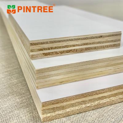 China Hot Selling Modern Plywood Sailor Plywood Prices In USA Melamine Plywood 18mm White Birch For Pet Matte Film for sale