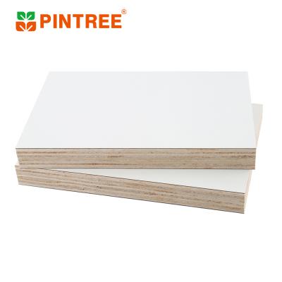 China Hot Sales Modern Grade Panel Laminate Plywood With Good Quality for sale