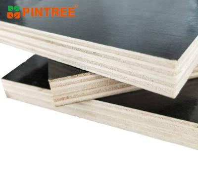 China Modern Factory 6-18mm Film Faced Hardwood Plywood Timber Used For Construction for sale