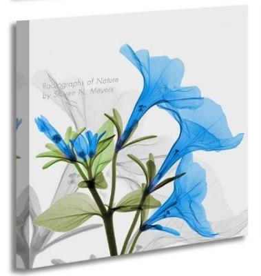 China Tropical Elegant Blue Tulip Flower Canvas Wall Art For Wall Decor Floral Painting 4 Panels Living Room Bedroom for sale