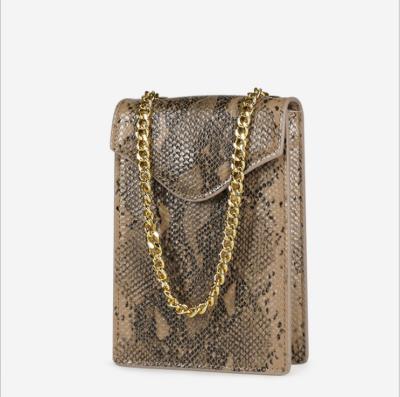 China No mesh 2019 new mini mesh serpentine mobile phone personalized trend chain PU female bag by diagonal bag for sale