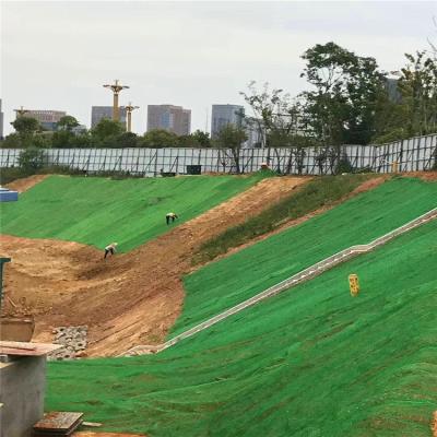 China 3d Geomat for Slope Protection in Black Green Color and Tri-Dimensional Grid Design for sale