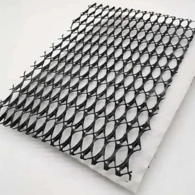 China Chinese Design Style HDPE 3D Composite Drainage Geonet Network Mats for Sports Fields for sale