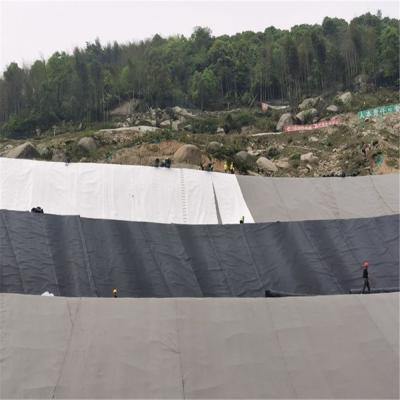 China Diseño contemporáneo Geomembrana HDPE impermeable para el biodigestor de biogás Productos de trabajo de tierra en venta