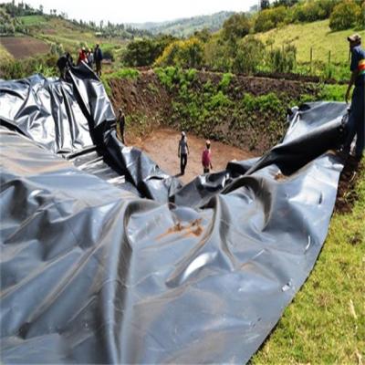 China Waterproof Projects Plastic Geomembrane Fish Farming Tank Pond Tarpaulin Shrimp Pond Liner for sale