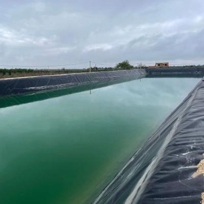 China High Density Polyethylene Geomembrane for Waterproof Projects 1mm Thickness 2m-8m Width for sale