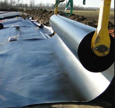 China Geomembrane op maat van HDPE voor tuinen Aquacultuur vijver Liner 0,5 mm 1 mm waterdichtheid Te koop