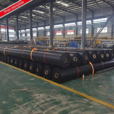 China Environmental 2mm Plastic Fish Pond HDPE Geomembrane Liner for Environmental Protection for sale