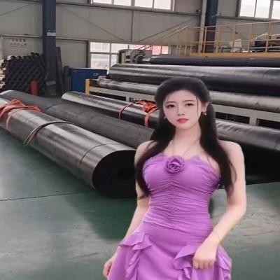 China 1m-8m Width HDPE Geomembrane Blowing Machine for Outdoor Waterproofing Applications for sale