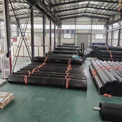 China Outdoor Waterproof HDPE Geomembrane Liners with Textured Surface and Long Service Life for sale