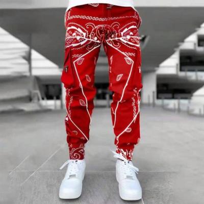 China Factory Wholesale Street Style QUICK DRY Printed Cargo Pants Men's Casual Loose Multi Left Pants for sale