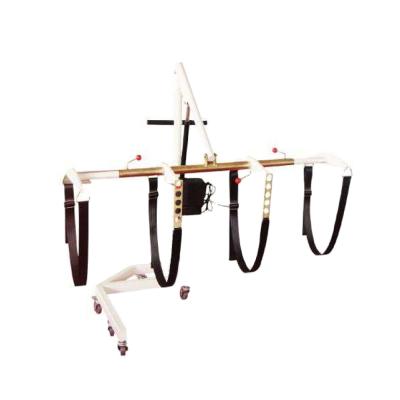 China Church Electric Mortuary Coffin Lifter Casket Body And Coffin Lifter for sale