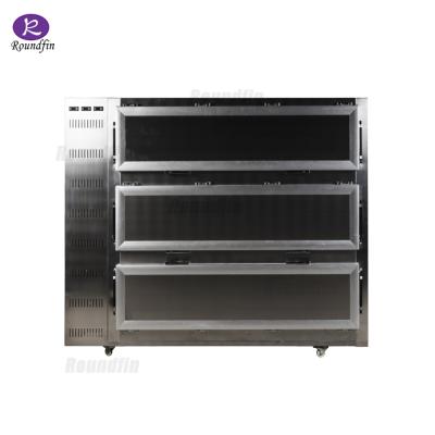 China Storage Corpses Corpses Corpse Refrigerator Equipment Freezer Mortuary Mortuary Refrigerator for sale