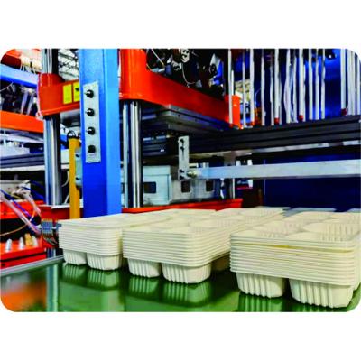 China Disposable Plastic Box Automatic Plastic Disposable Lunch Box Forming Machinery for sale