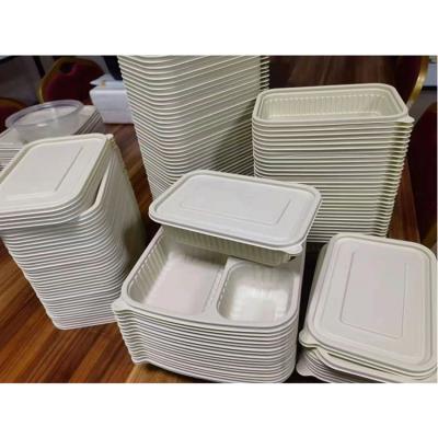 China Disposable Disposable Cup Bowl Food Grade Box Plastic Product Container Thermoforming Making Machine for sale