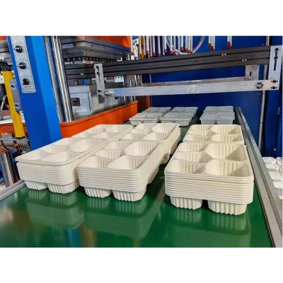 China Plastic Disposable Box Making Machine Lunch Cup Container Production Line Thermoforming Machine for sale