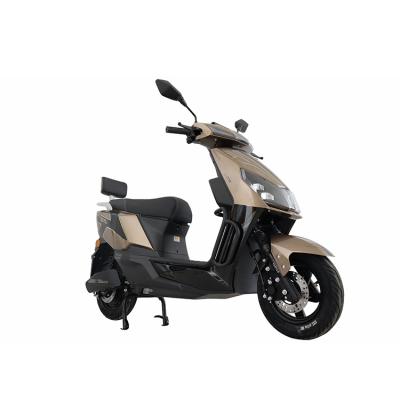 China 2022 New Arrival Electric Products Two Wheels Motorcycle High Speed ​​1820*680*1320mm (Large) for sale