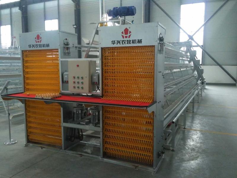 Verified China supplier - Henan Huaxing Poultry Equipments Co.,Ltd.