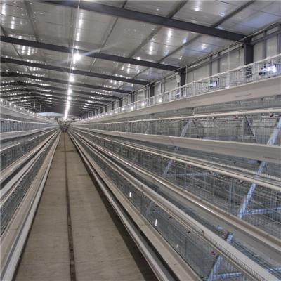 China A Frame Broiler Chicken Cage System Hot Dipped Wire Mesh for sale