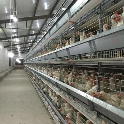 China Hot Dipped Galvanized H Frame Automatic Battery Animal Cage/Chicken Layer Cage/Chicken Layer Battery Cage For Sale for sale