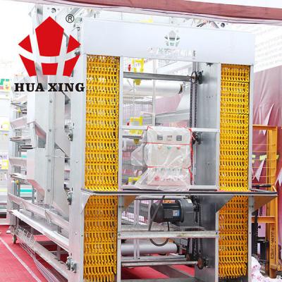 China Eggs Collecting Layer Poultry Farming Equipment , Steady Poultry Automation Equipment for sale