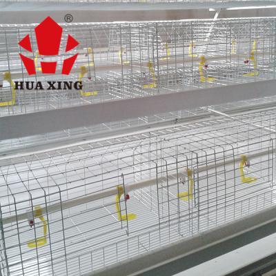 China Commercial Poultry Chicken Cage Hot Dipped Wire Mesh Material Easy To Install for sale