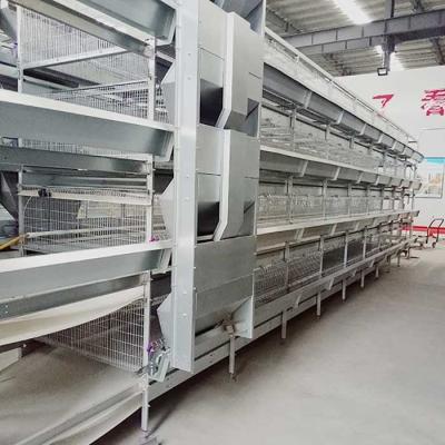 China Indoor Powerful Broiler Chicken Cage 96 - 120 Birds Capacity With Manure System for sale