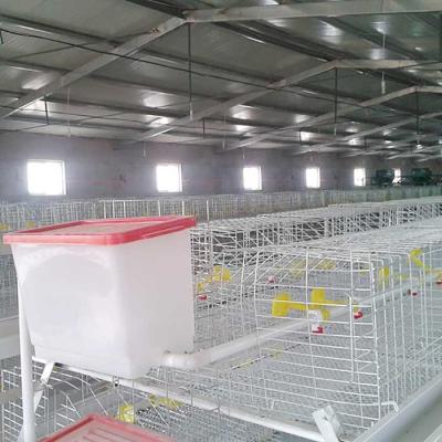 China Large Capacity Poultry Broiler Chicken Cage Hot Dipped Wire Mesh Material for sale