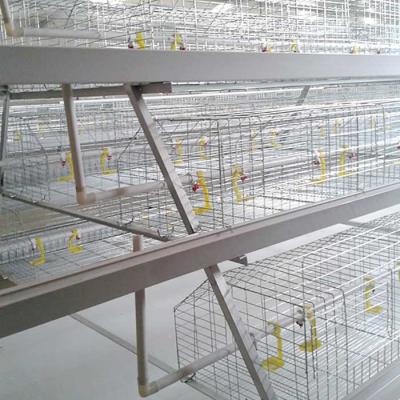 China Farming Broiler Chicken Cage A Type 3 Tiers Automatic Control Easy To Install for sale