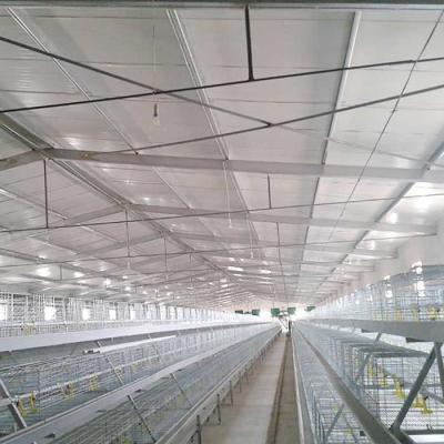 China Aging Resistance Poultry Farm Cage , Three Tiers Battery Cage System For Broilers for sale