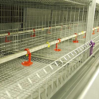 China Rigid Q235 Steel Baby Chick Cage Multi Doors High Performance For Farm for sale