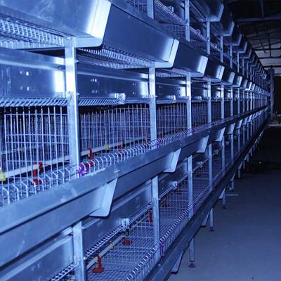 China 195 * 50 * 35CM Baby Chick Cage , Automatic Battery Cage System Low Disease for sale