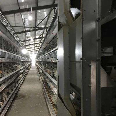 China Running Feeder Battery Cage For Poultry , Custom Height Modern Chicken Cages for sale