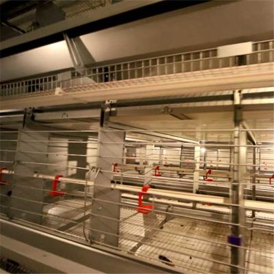 China Fireproof Wire Breeding Cages Easy Cleaning 129 Female Chickens / Male Chickens Capacity for sale