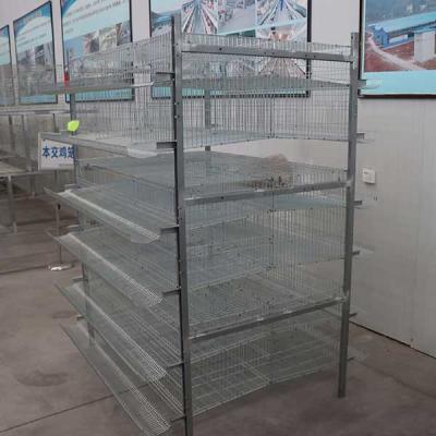 China High Performance Farming Quail Indoor Cage , Waterproof Breeding Canary Cages for sale