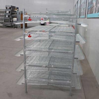 China No Corners / Sharp Edges Quail Cage 6 Tier 2 Doors High Automation Long Lifespan for sale