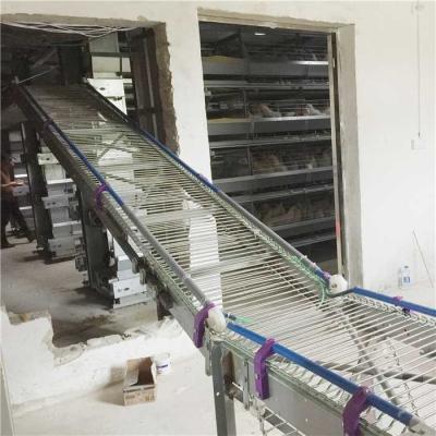 China High Resistance Automatic Egg Collection System Modern Control Labor Saving for sale