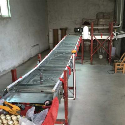 China high Farming Efficiency Automatic Egg Collection System Stable running for sale