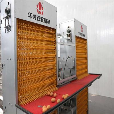 China Electrostatic Spray Poultry Farm Machine , Steel Egg Laying Chicken Cages for sale