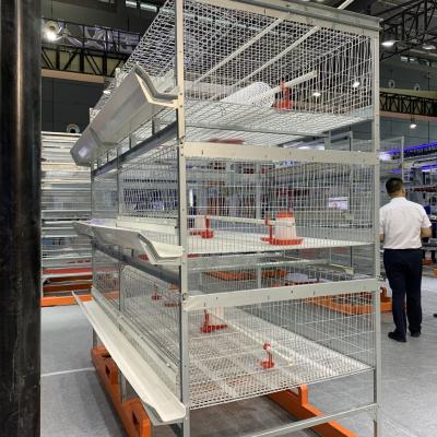 China Laboratory 24 Doors 264 Birds Poultry Chicken Cage for sale